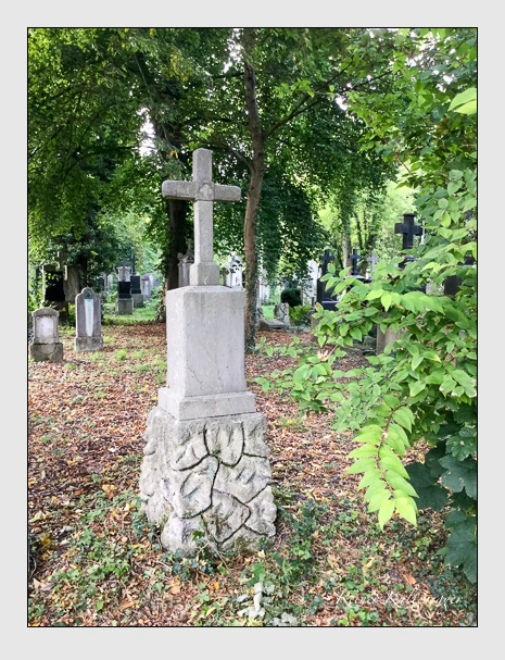 (September 2019)