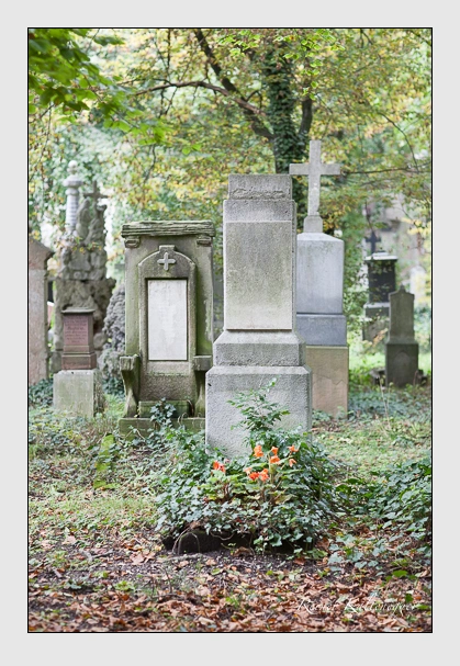 Grab der Familie von der Pfordten