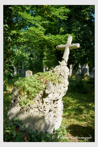 (August 2012)