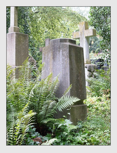 (Juli 2016)
