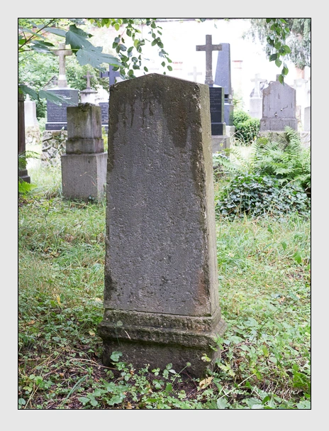 (Juli 2016)