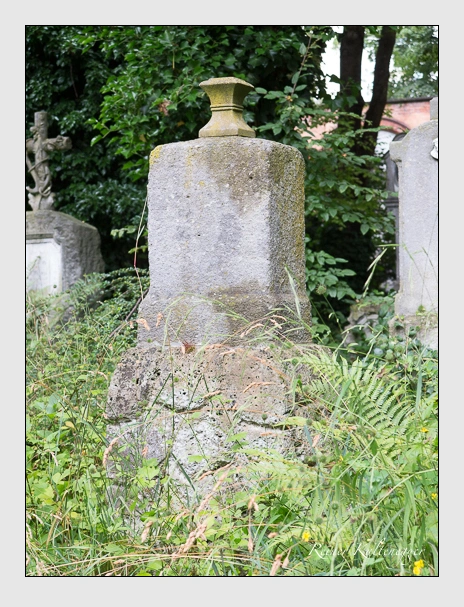 (Juli 2016)