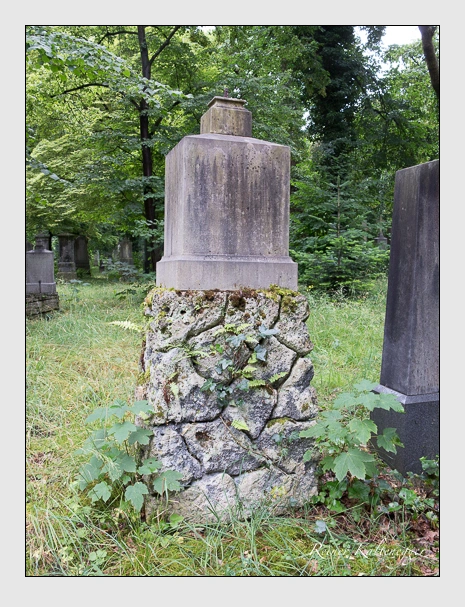 (Juli 2016)