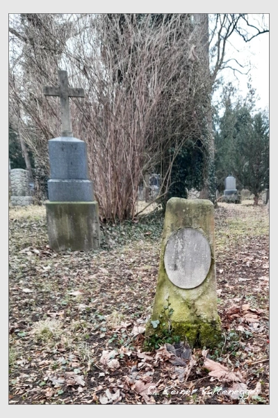 (Februar 2021)