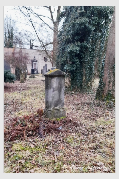 (Februar 2021)