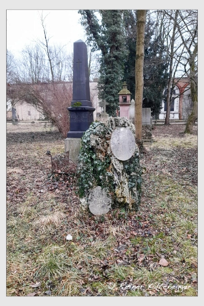 Grab der Familie Steininger