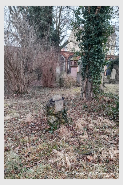 (Februar 2021)