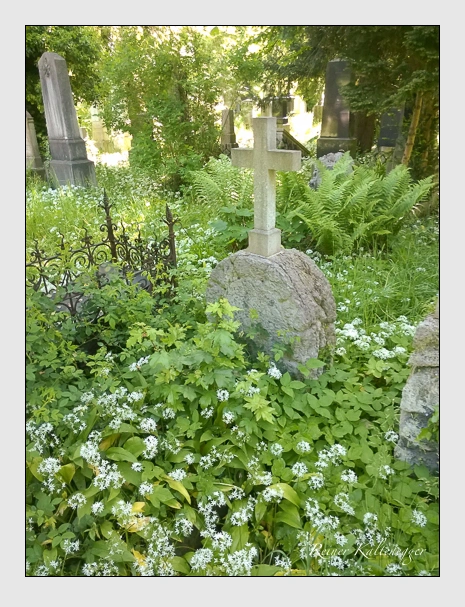 (Oktober 2016)