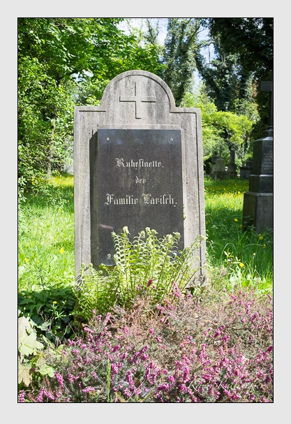 Grab der Familie Larisch