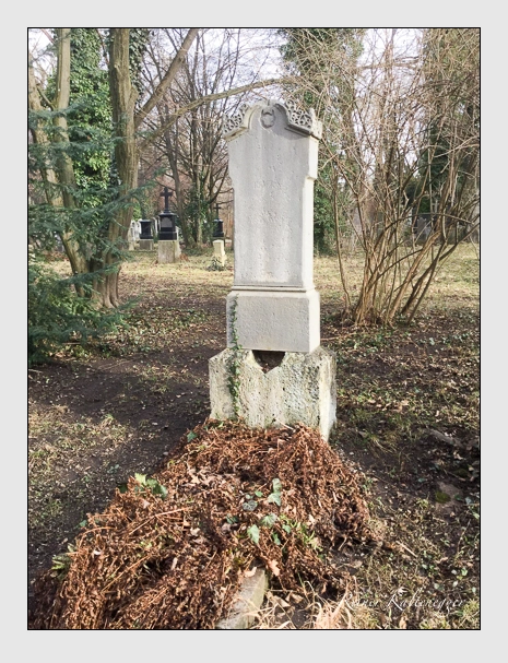 Grab der Familie Köhler