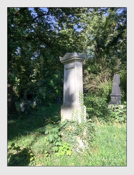 Grab der Familie Dürr