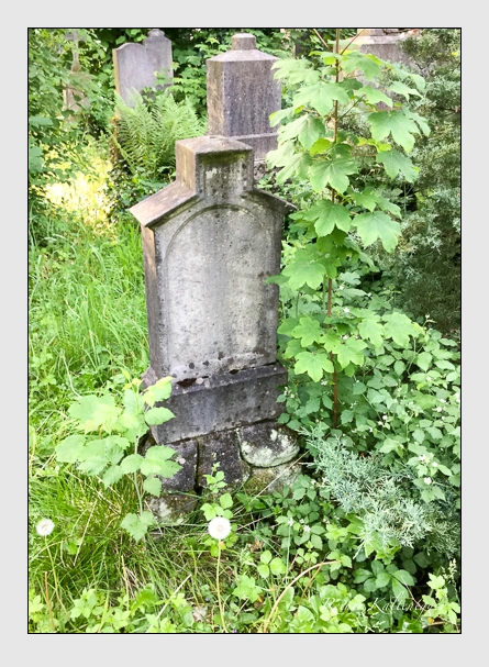 Grab der Familie Steinlein
