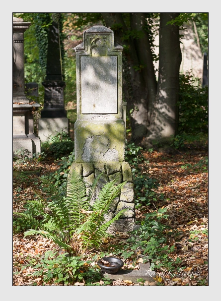 Grab der Familie Wolfsteiner